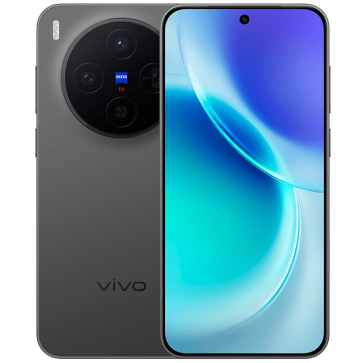 vivo X300