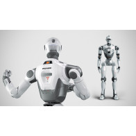 EngineAI T800 Humanoid Robot