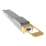 Eoptolink EOLO-138HG-02-XMX 800G OSFP Optical Transceiver Module