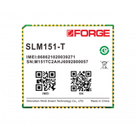 Meig SLM150-T NB-IoT/LTE CAT-M/GPRS Module