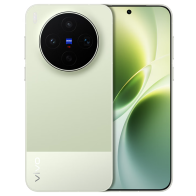 vivo X300S