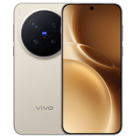 vivo X300 Pro 